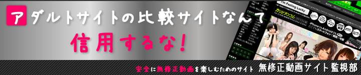 有料無修正動画サイトの評判