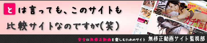 有料無修正動画サイトのレビュー